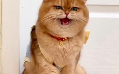 影音先锋 av天堂